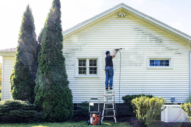 Best Roof Washing  in Boulder, CO